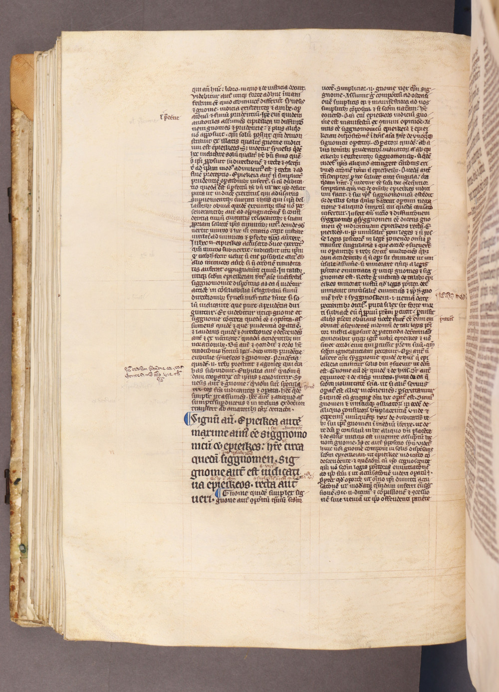 Folio 141 verso